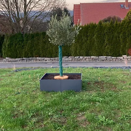 Hagens Dom wakacyjny *